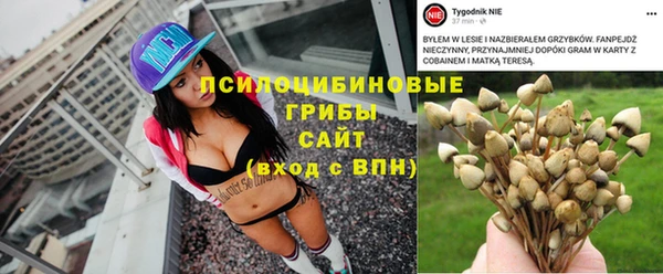ПСИЛОЦИБИНОВЫЕ ГРИБЫ Армянск