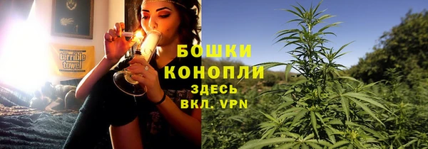 винт Арсеньев