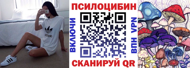 дарнет шоп Зеленокумск Псилоцибиновые грибы мухоморы